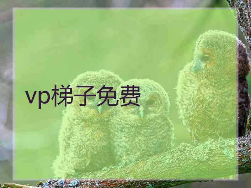 vp梯子免费