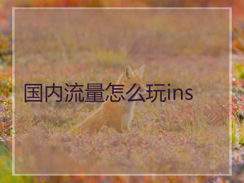 国内流量怎么玩ins