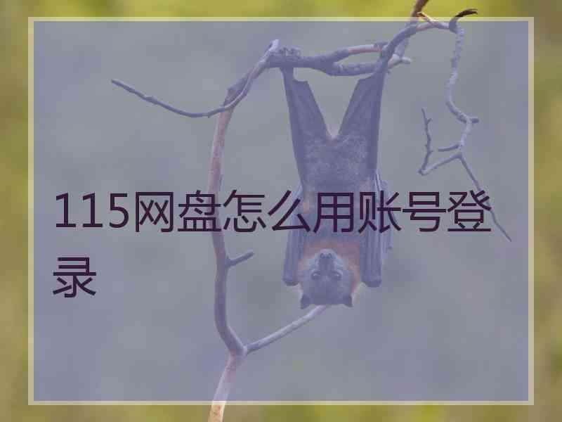 115网盘怎么用账号登录