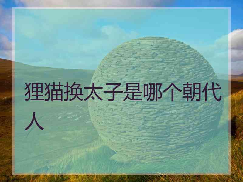 狸猫换太子是哪个朝代人