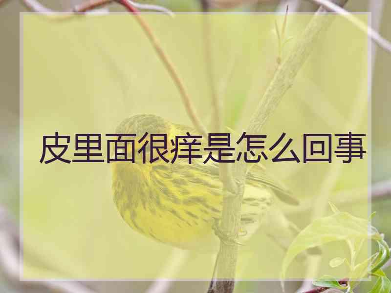 皮里面很痒是怎么回事