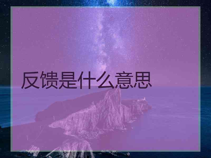 反馈是什么意思
