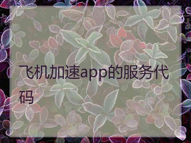 飞机加速app的服务代码