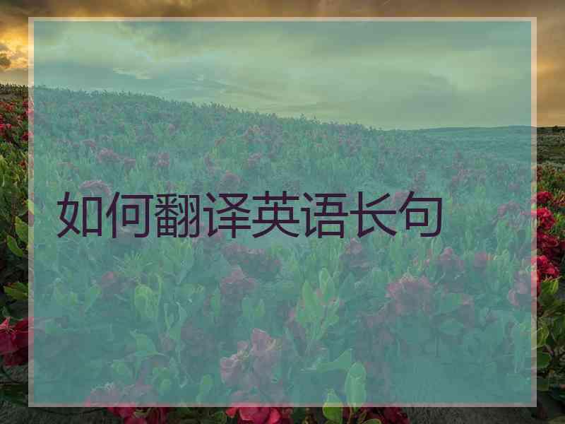 如何翻译英语长句