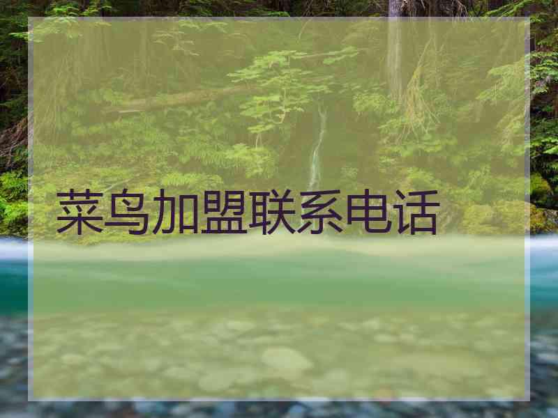 菜鸟加盟联系电话