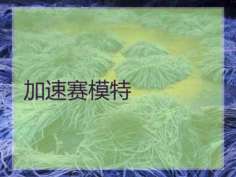 加速赛模特