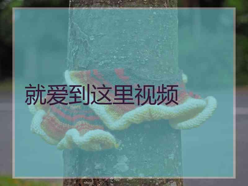 就爱到这里视频