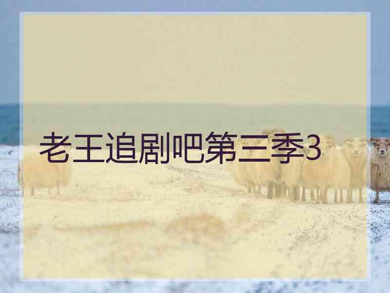 老王追剧吧第三季3