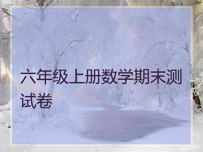六年级上册数学期末测试卷