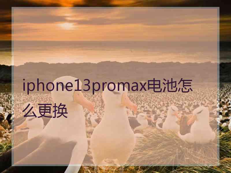 iphone13promax电池怎么更换