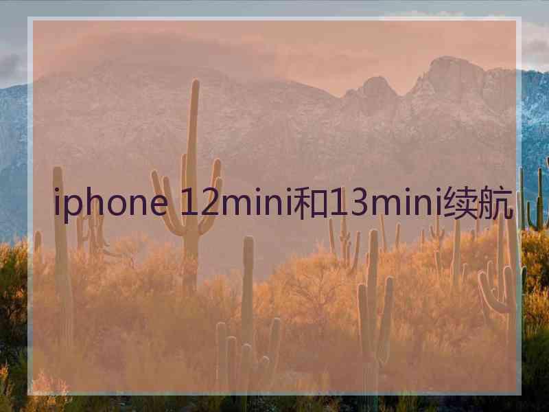 iphone 12mini和13mini续航