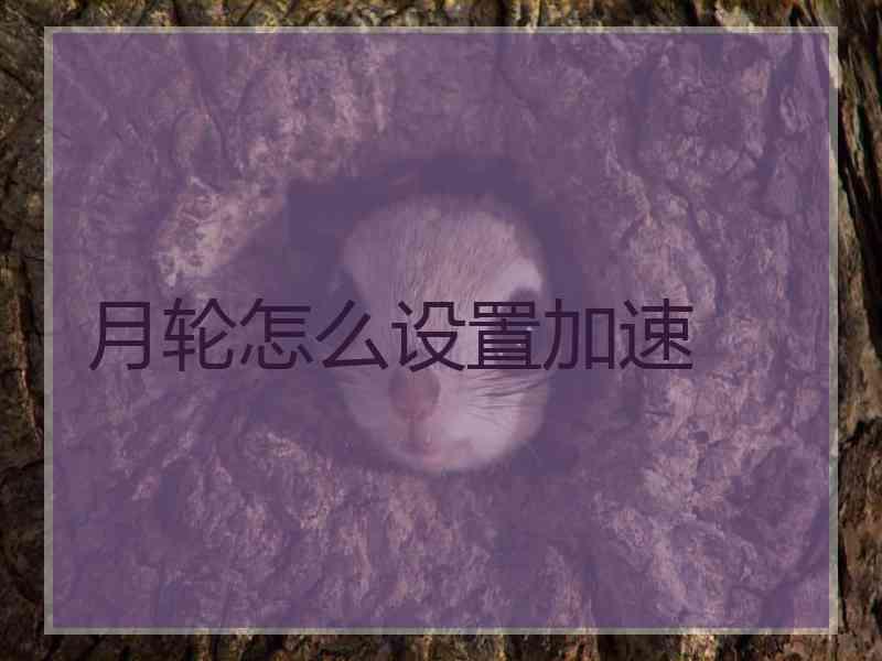 月轮怎么设置加速
