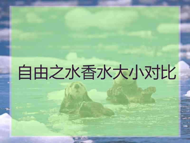 自由之水香水大小对比