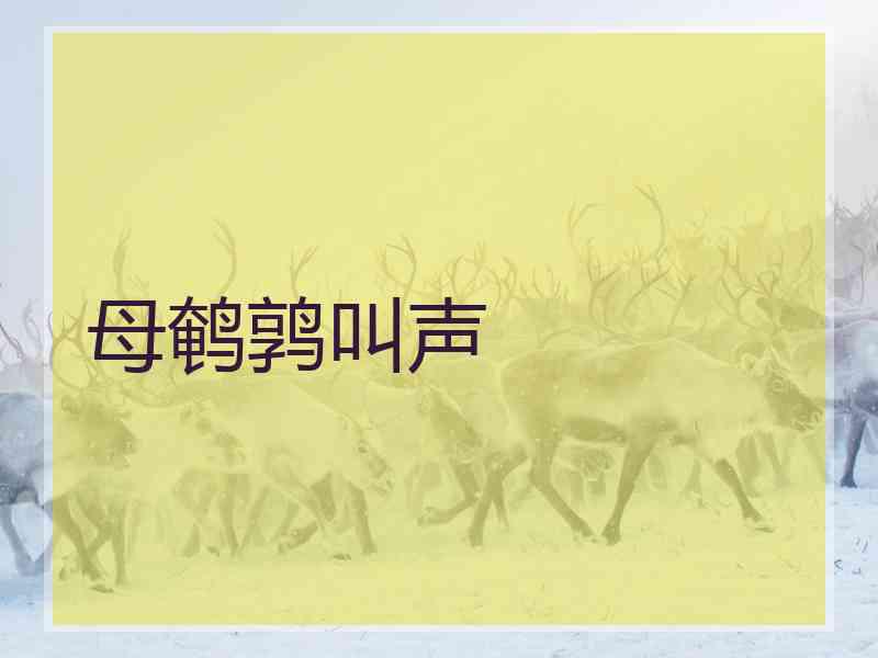 母鹌鹑叫声