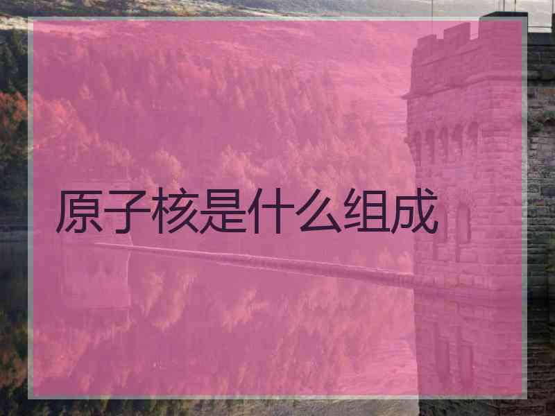 原子核是什么组成