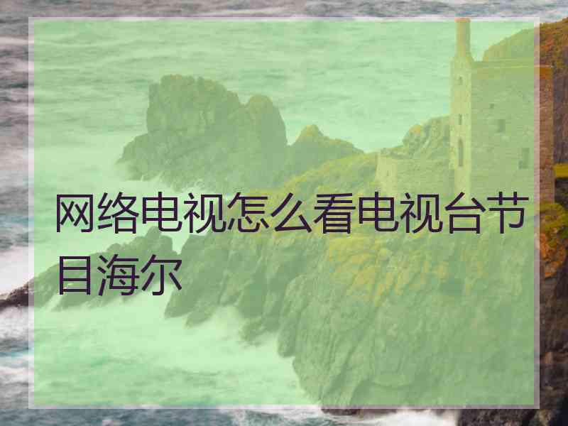 网络电视怎么看电视台节目海尔