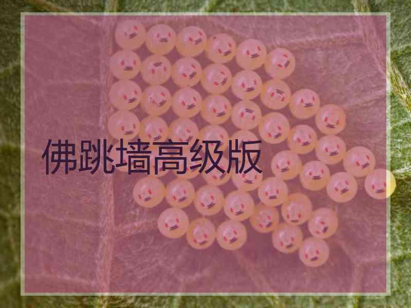 佛跳墙高级版