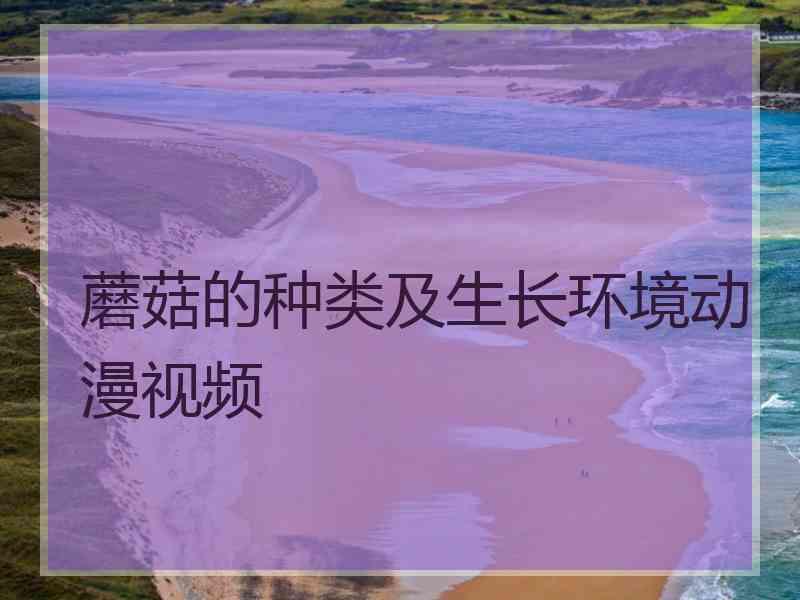 蘑菇的种类及生长环境动漫视频