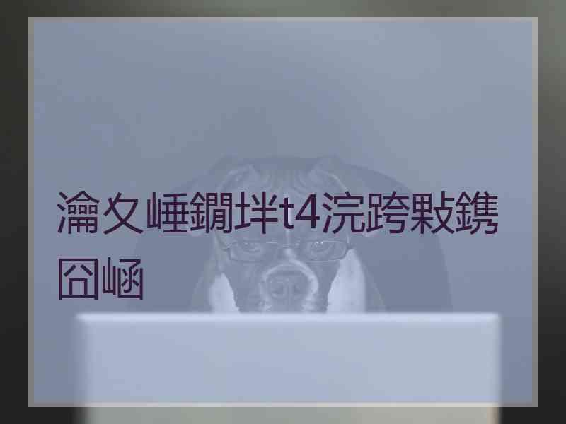 瀹夊崜鐗坢t4浣跨敤鎸囧崡
