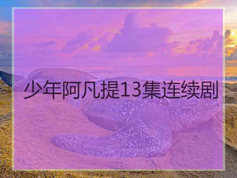 少年阿凡提13集连续剧