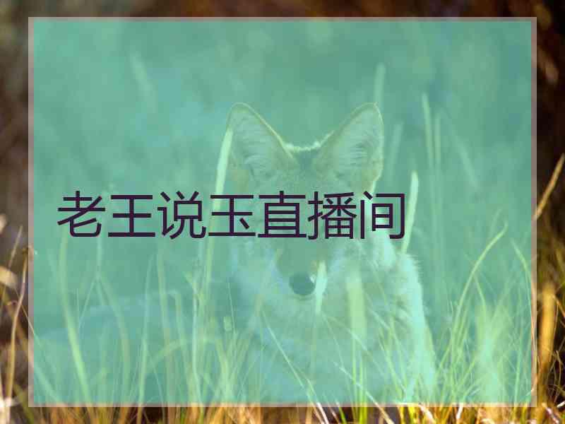 老王说玉直播间