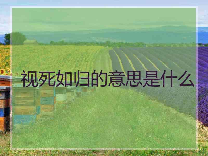 视死如归的意思是什么