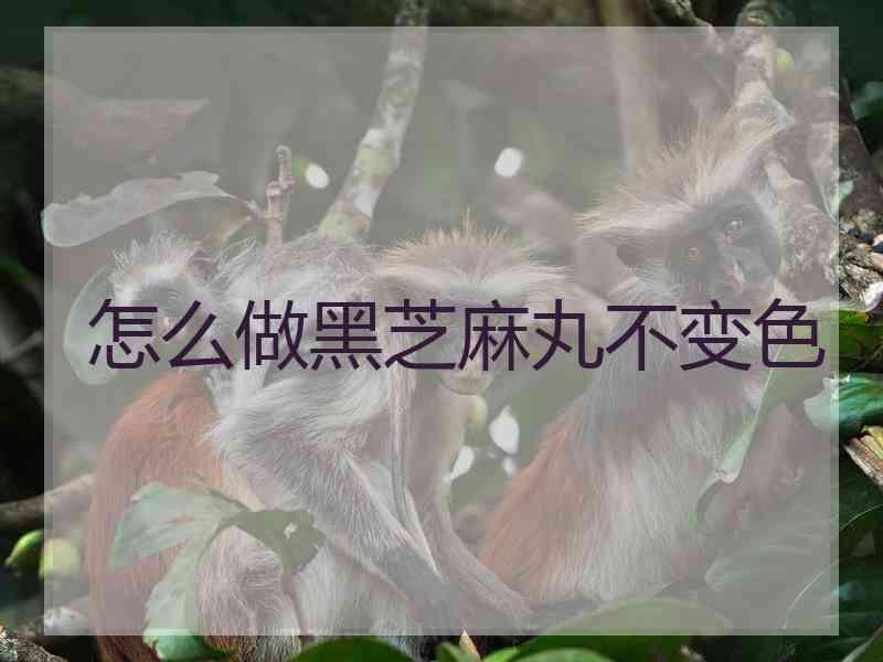 怎么做黑芝麻丸不变色