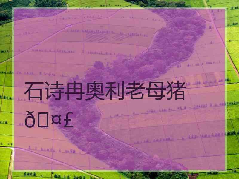 石诗冉奥利老母猪🤣