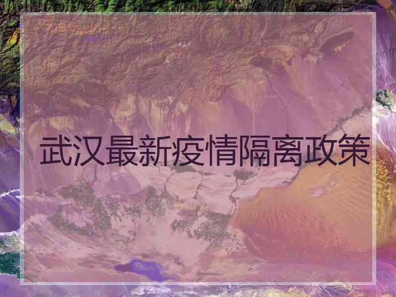武汉最新疫情隔离政策