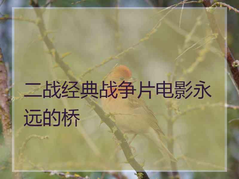 二战经典战争片电影永远的桥