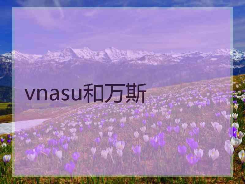 vnasu和万斯