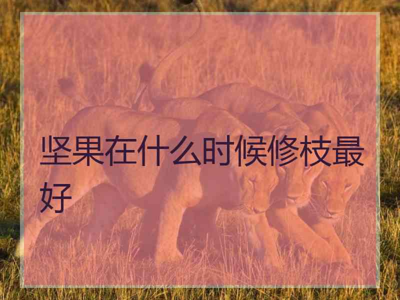 坚果在什么时候修枝最好
