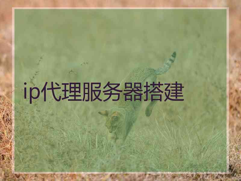 ip代理服务器搭建