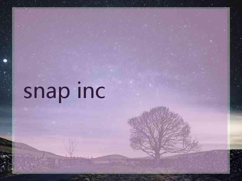 snap inc