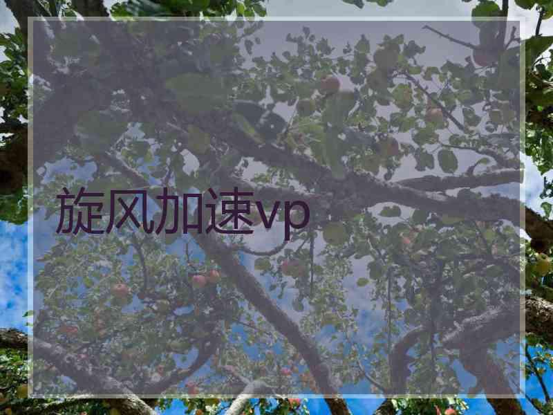 旋风加速vp