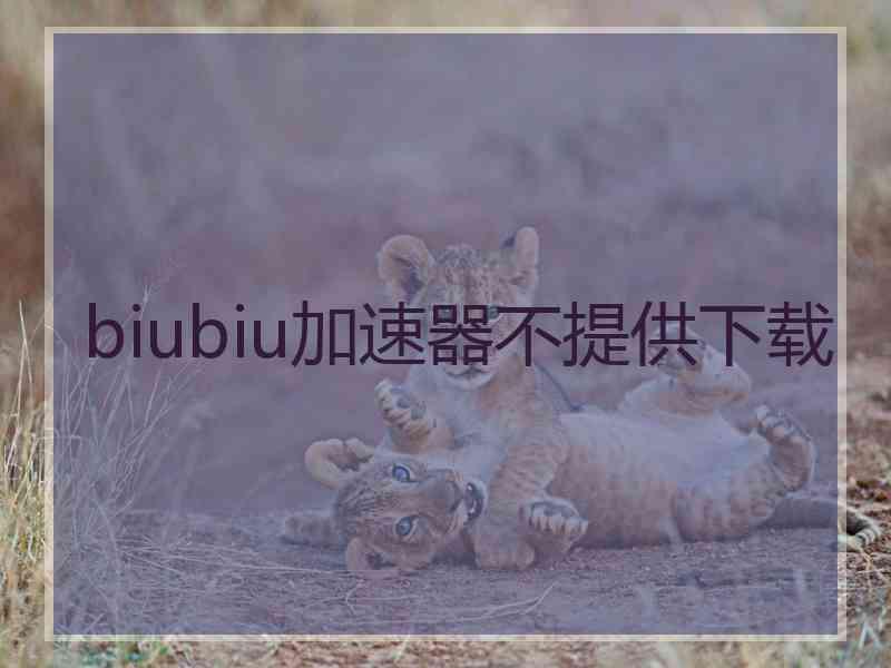 biubiu加速器不提供下载