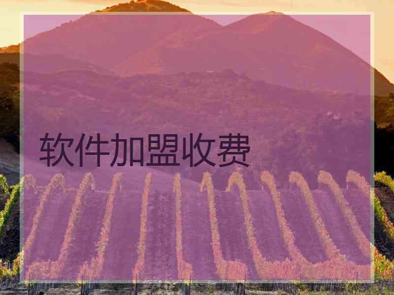 软件加盟收费