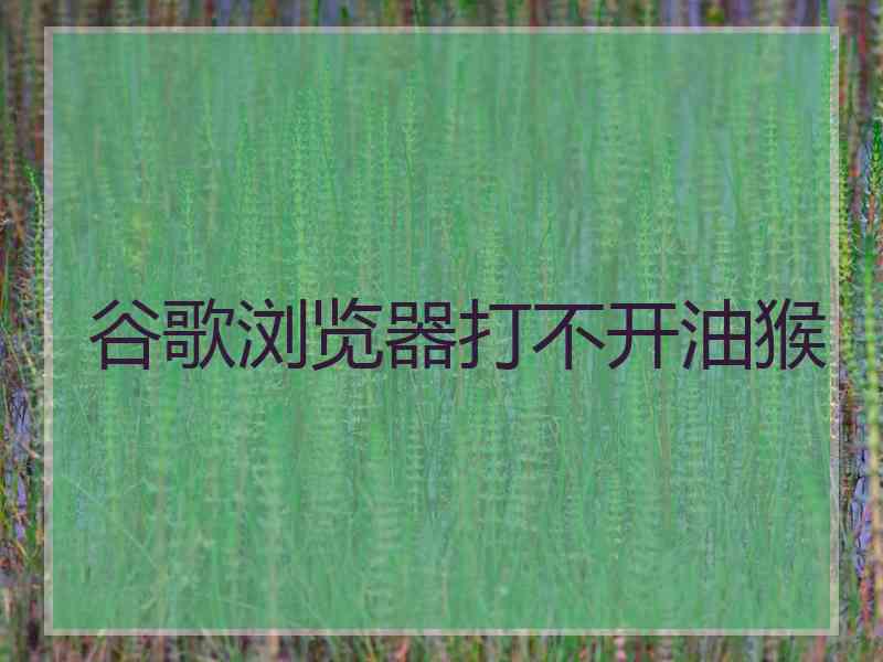 谷歌浏览器打不开油猴