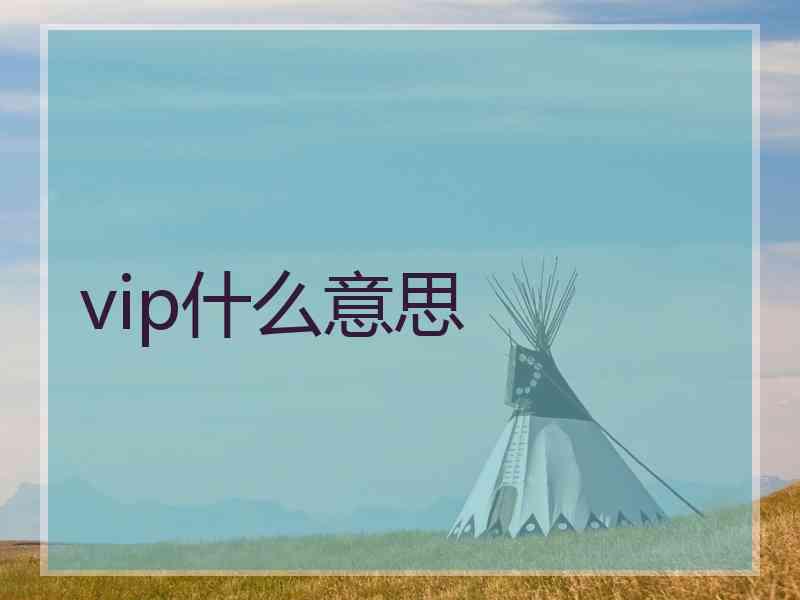 vip什么意思