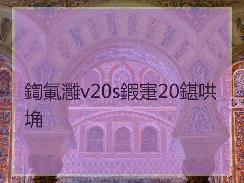 鍧氭灉v20s鍜寁20鍖哄埆