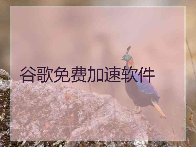 谷歌免费加速软件