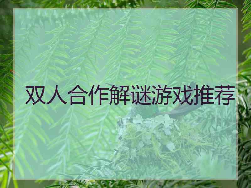 双人合作解谜游戏推荐