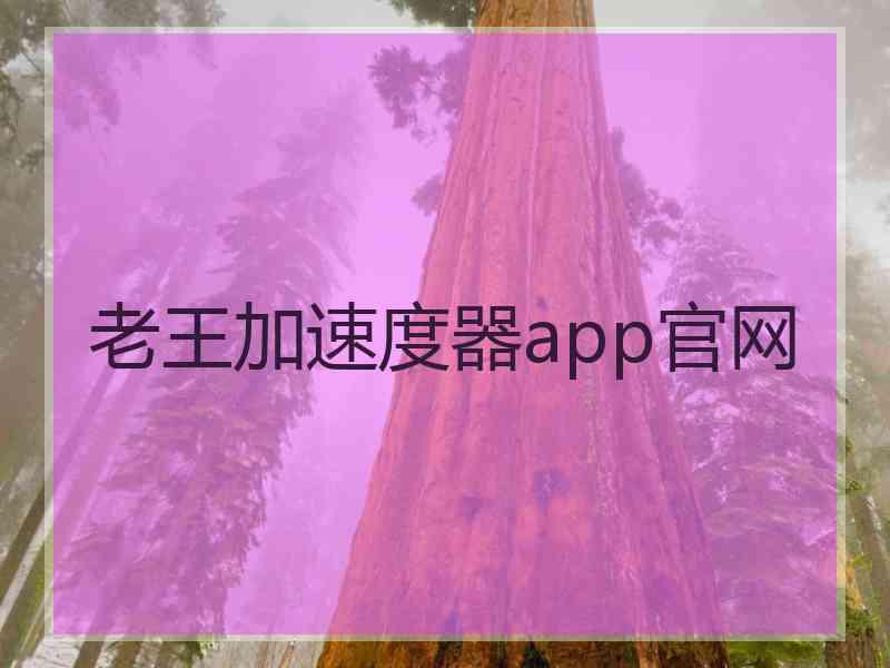 老王加速度器app官网