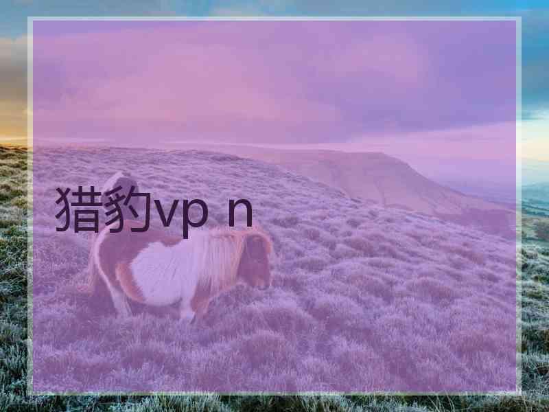 猎豹vp n