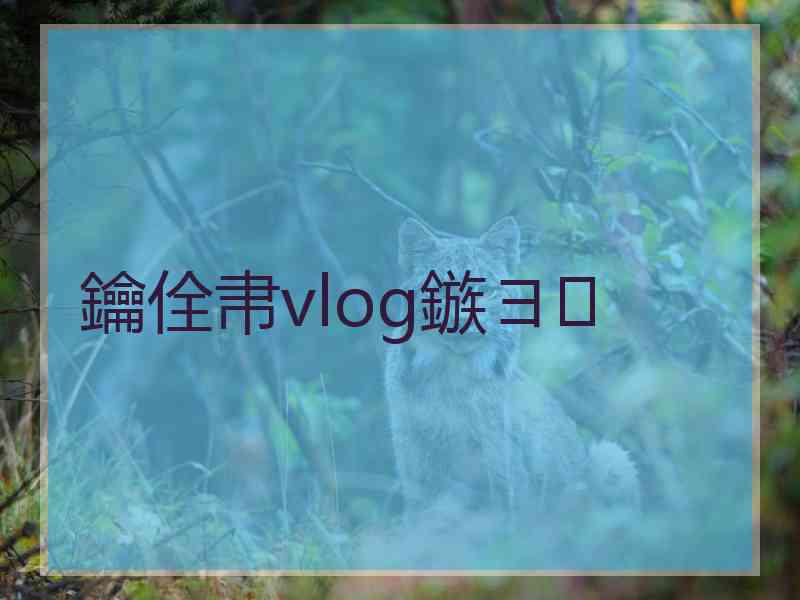 鑰佺帇vlog鏃ヨ