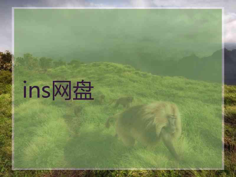 ins网盘