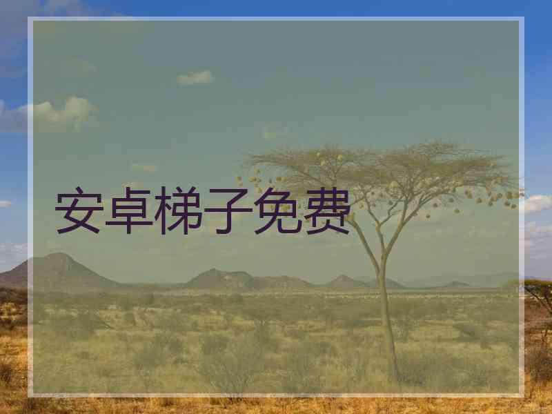 安卓梯子免费