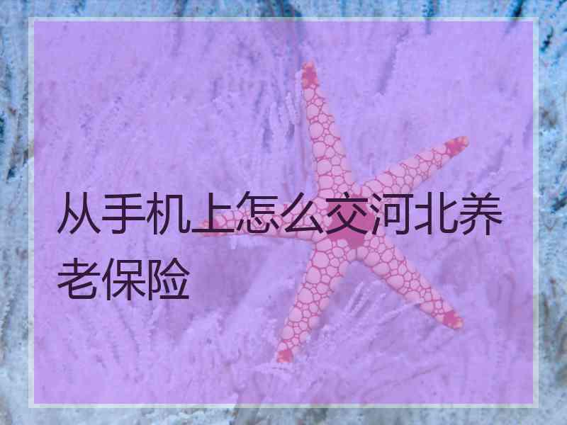 从手机上怎么交河北养老保险