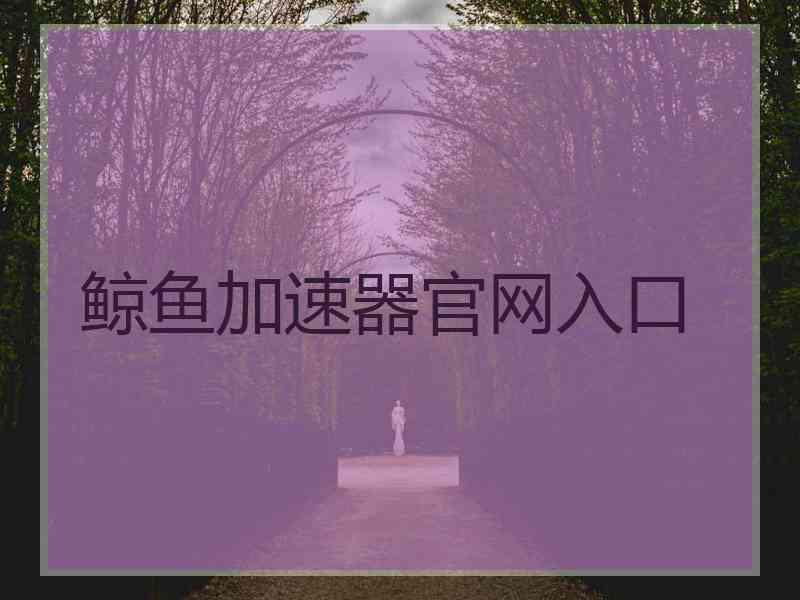 鲸鱼加速器官网入口