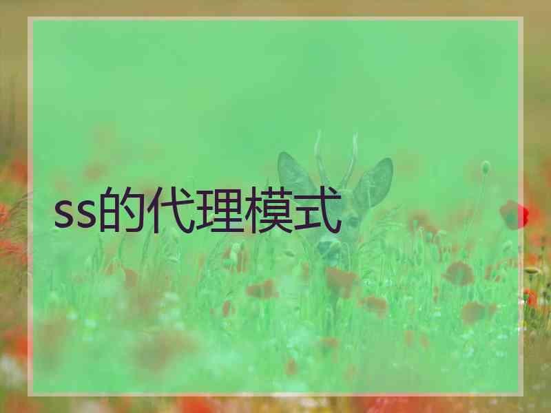 ss的代理模式